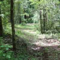 Davenport Tract Home Site images 4