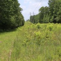 Davenport Tract Home Site images 5