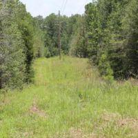 Davenport Tract Home Site images 6