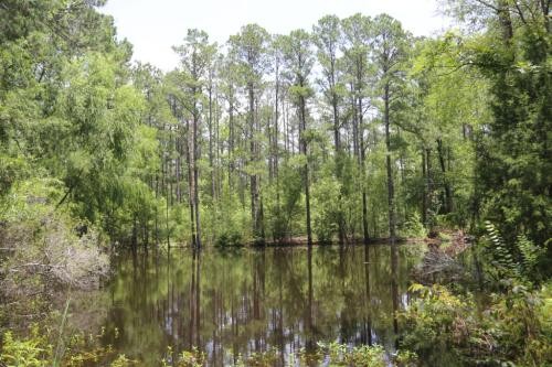Davenport Tract Home Site featured image