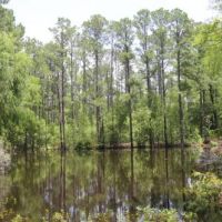 Davenport Tract Home Site