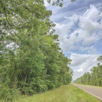 24 Acres &nbsp; FM 356 Rec &nbsp; 271111 &nbsp; Tract 3