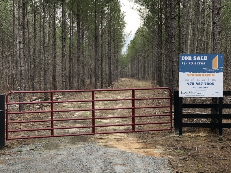 73 AC Timber  Hunting &nbsp; Homesite featured image