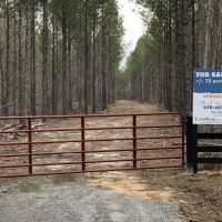 73 AC Timber  Hunting &nbsp; Homesite