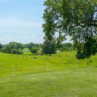 BIG BEECH FARM images 5