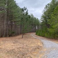 19  -acres located on top of the beautiful South Pittsburg Mountain. images 6