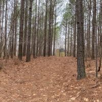 19  -acres located on top of the beautiful South Pittsburg Mountain. images 4
