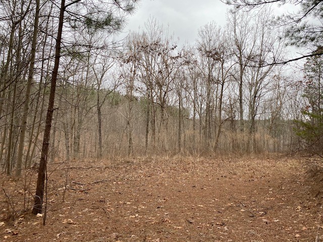 19  -acres located on top of the beautiful South Pittsburg Mountain. featured image