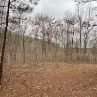 19  -acres located on top of the beautiful South Pittsburg Mountain.