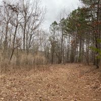 19  -acres located on top of the beautiful South Pittsburg Mountain. images 5