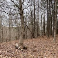 19  -acres located on top of the beautiful South Pittsburg Mountain. images 3