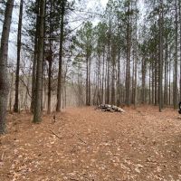 19  -acres located on top of the beautiful South Pittsburg Mountain. images 2