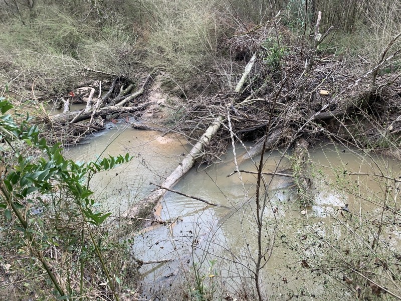 14 Acres in Amite County in Centreville  MS featured image