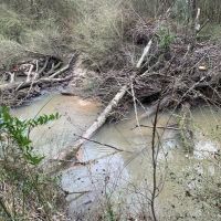 14 Acres in Amite County in Centreville  MS