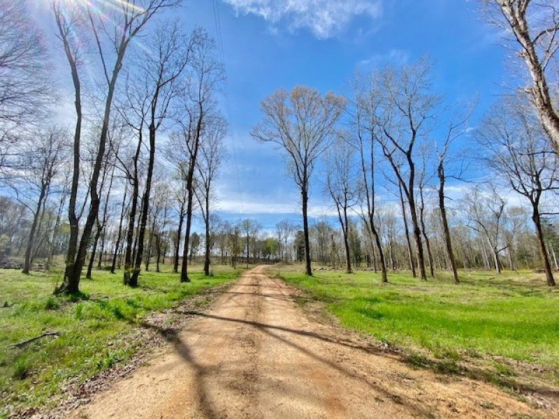 Cabin and 38 Acres Tylertown MS Hunting Land for Sale