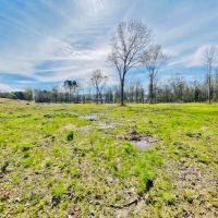 Cabin and 38 Acres  Tylertown  MS images 3