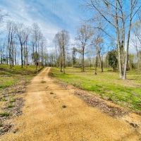 Cabin and 38 Acres  Tylertown  MS images 4