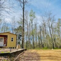 Cabin and 38 Acres  Tylertown  MS images 5