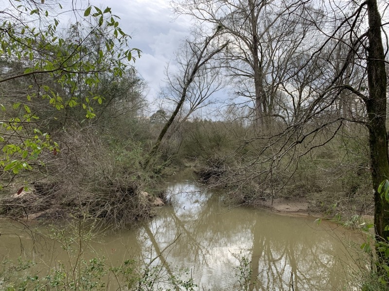 29 Acres in Amite County in Centreville  MS featured image