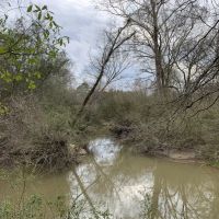 29 Acres in Amite County in Centreville  MS
