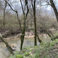 29 Acres in Amite County in Centreville  MS images 2