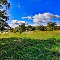 Circle B Ranch images 6