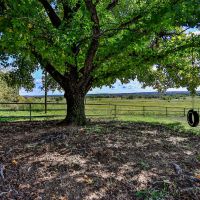 Circle B Ranch images 5