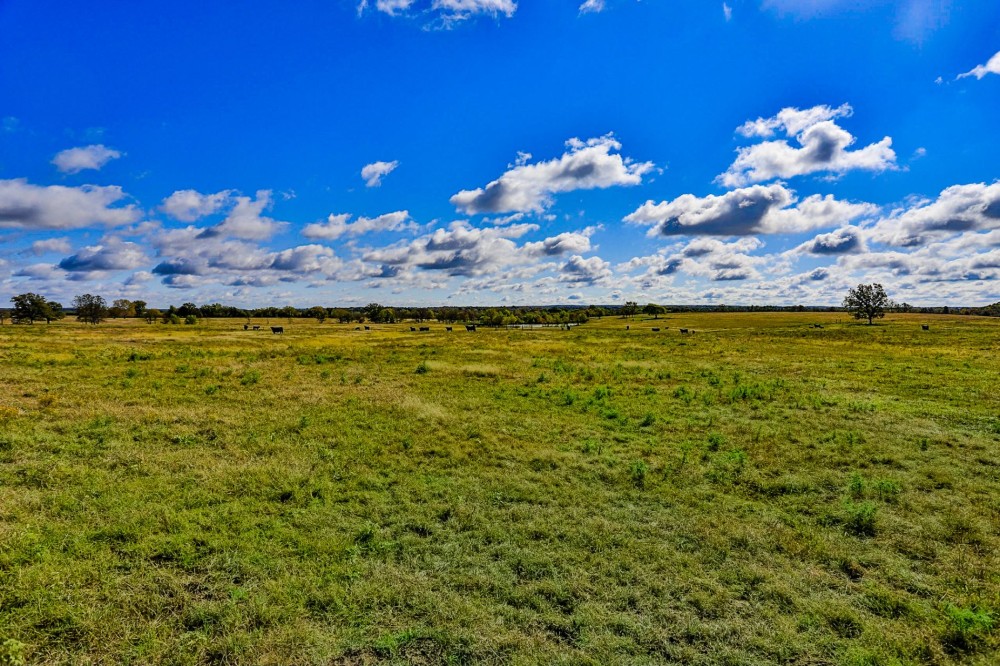 Circle B Ranch featured image