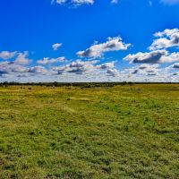Circle B Ranch