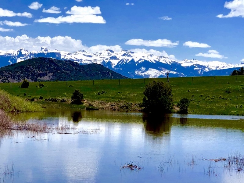 Flying H Ranch featured image
