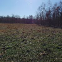 Home with 75 acres…3 bedroom  2 bath 2 fully stocked ponds fenced  pasture land  timber and much more. images 4