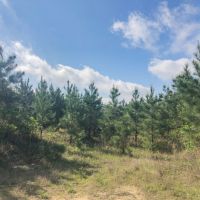 10.617 Acres &nbsp; Highland Hills &nbsp; Lot 6 images 4
