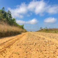 10.617 Acres &nbsp; Highland Hills &nbsp; Lot 6 images 6
