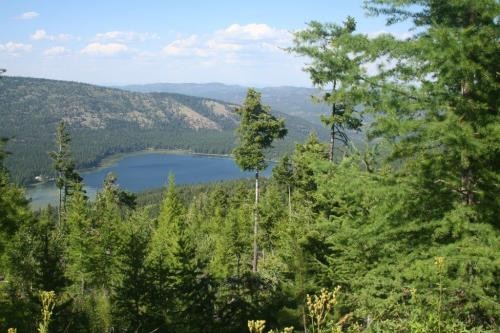 609 Timbered Acres  Kila  MT featured image