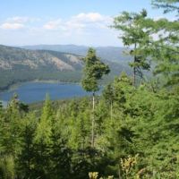 609 Timbered Acres  Kila  MT