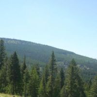 609 Timbered Acres  Kila  MT images 2