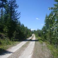 609 Timbered Acres  Kila  MT images 3