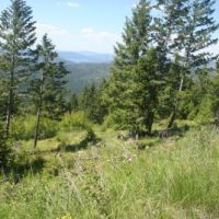 609 Timbered Acres  Kila  MT images 4