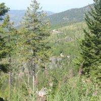 609 Timbered Acres  Kila  MT images 6