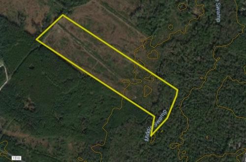 North Carolina Hunting Land featured image