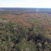 North Carolina Hunting Land images 4