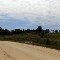 Chesterfield County SC Hunting Land images 2