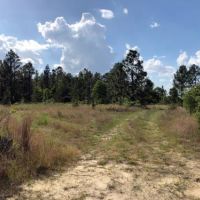 Marlboro County SC Acreage