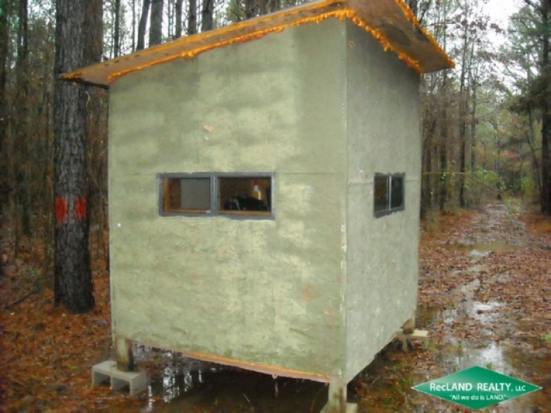 20 ac - Pine Saw Timber near Shrevport featured image
