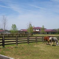 Latitude 35 Farm images 5