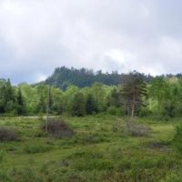175 acres Hunting Land near Adirondacks images 2