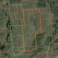 175 acres Hunting Land near Adirondacks images 5