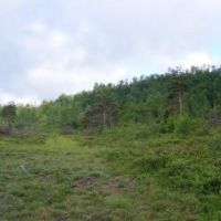 175 acres Hunting Land near Adirondacks images 6