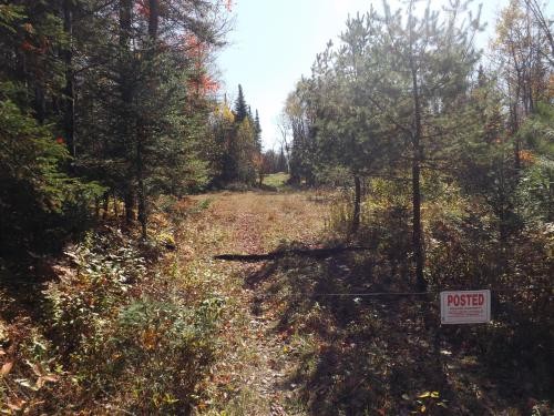 108 acres Beautiful North Country Woodlands featured image