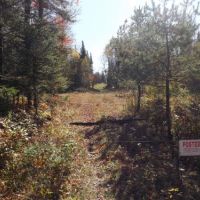 108 acres Beautiful North Country Woodlands